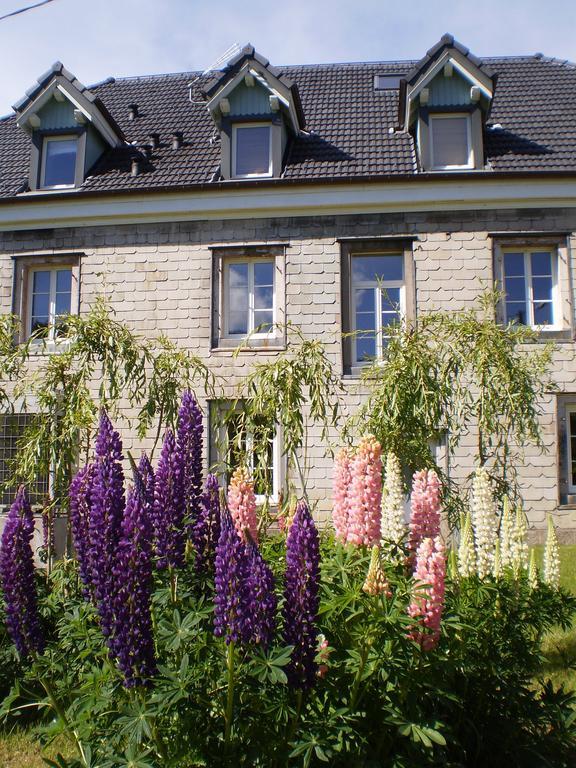 Chambres d'Hôtes le Clos des Lesses Fresse-sur-Moselle Exterior foto